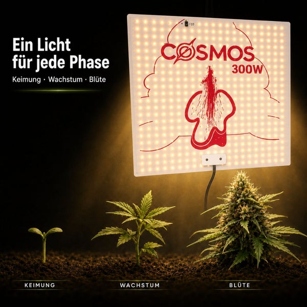 LED Pflanzenlampe Cosmos 300 Watt beleuchtet Pflanzen in den Phasen Keimung, Wachstum und Blüte.