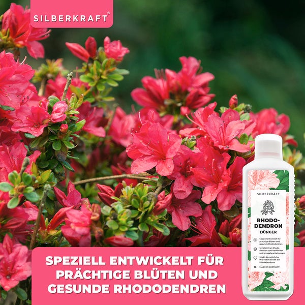 SILBERKRAFT Rhododendron Dünger – Für Rhododendren & Azaleen – 1 Liter