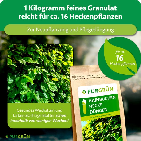 Purgrün Hainbuchen-Hecke-Dünger, 1 Kilogramm feines Granulat für circa 16 Heckenpflanzen zur Neupflanzung und Pflegedüngung, Purgrün Logo.