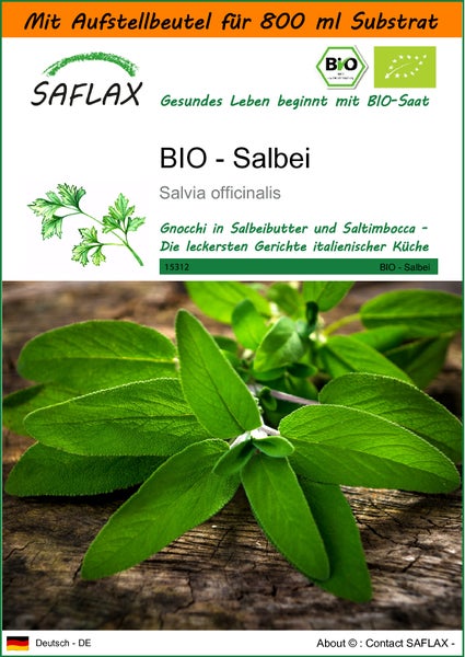 SAFLAX Garden in the bag - BIO - Salbei - Salvia officinalis - 60 Samen - Mit Anzuchtsubstrat im praktischen, selbst aufstellenden Beutel