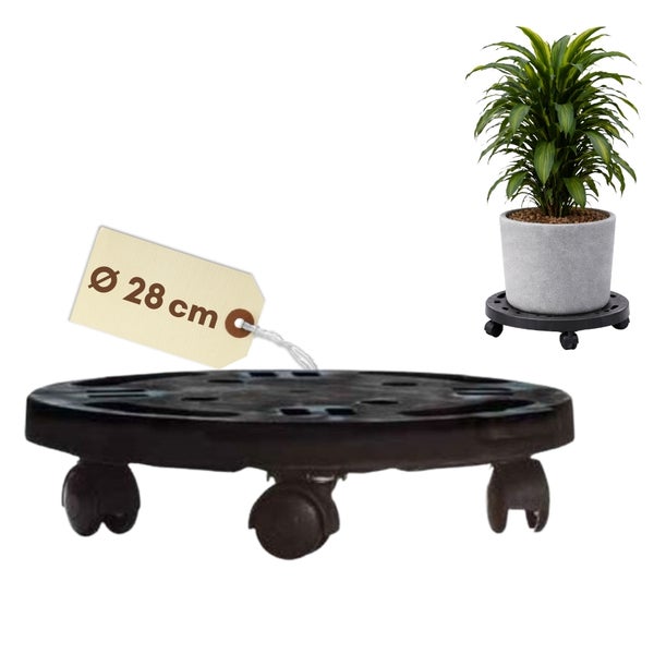 Pflanzenroller mit einem Durchmesser von 28 Zentimetern und einer Pflanze im Topf.