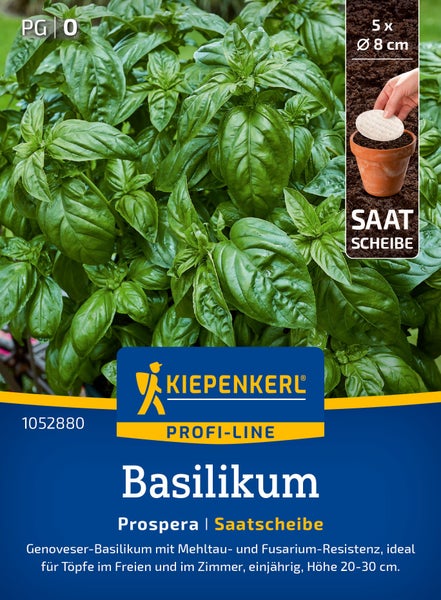 Kiepenkerl Profi Line Basilikum Prospera Saat-Scheibe fuer Töpfe im Freien und im Zimmer, 5 Stück mit 8 Zentimeter Durchmesser.