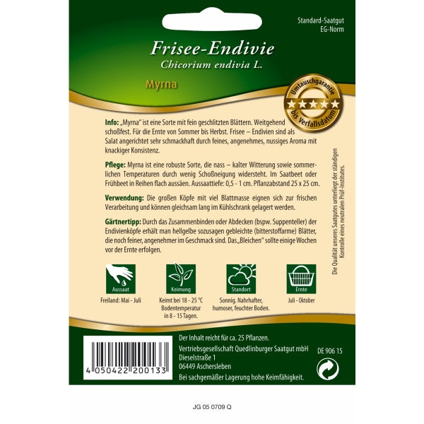 Frisee-Endivie Myrna Samen von Quedlinburger SAATGUT