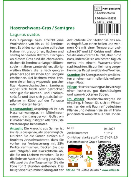 SAFLAX  - Hasenschwanz-Gras / Samtgras - Lagurus ovatus - 100 Samen