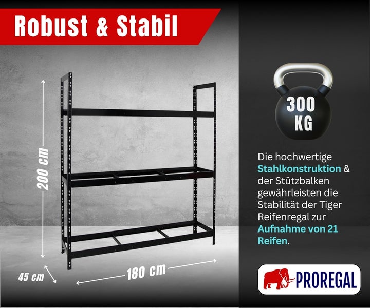 Reifenregal Tiger aus Stahl, Maße 200 mal 180 mal 45 Zentimeter, Tragkraft 300 Kilogramm, Proregal Logo.