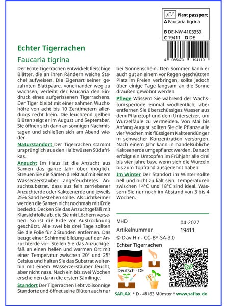 SAFLAX Geschenk Set - Echter Tigerrachen - Faucaria tigrina - 40 Samen - Mit Geschenkbox, Versandaufkleber, Geschenkkarte und Anzuchtsubstrat