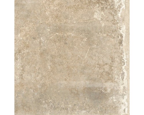 Wand- und Bodenfliese Watford beige 60,9x60,9 cm