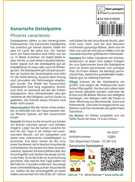 SAFLAX Garden to go - Kanarische Dattelpalme - Phoenix canariensis - 10 Samen - Mit Topf, Klima - Deckel und Anzuchtsubstrat