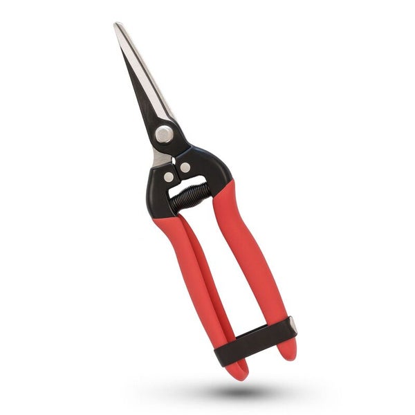 Gartenschere mit roten Griffen und silberfarbenen Klingen