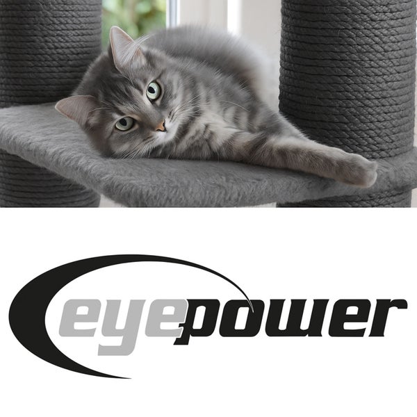 Eine grau getigerte Katze liegt auf der mit Plüsch bezogenen Liegefläche eines Kratzbaums mit Sisalstämmen und das Logo der Firma eyepower.