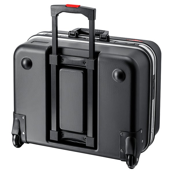 Szene mit Palmen, Büschen, Rasen und einem Gebäude im Hintergrund