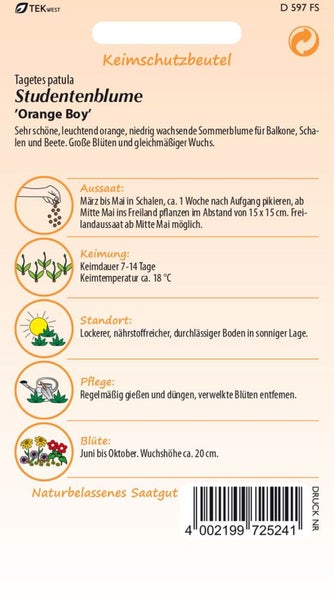 Samenpackung Studentenblume Orange Boy