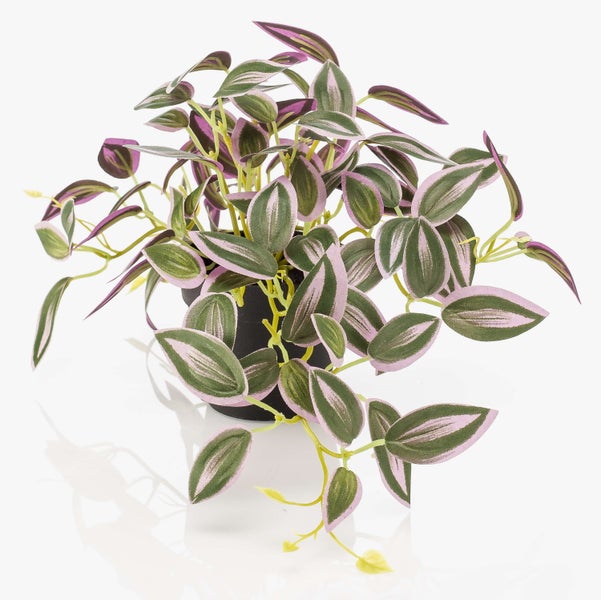 Künstliche Tradescantia mit grün-violett panaschierten Blättern im schwarzen Topf.