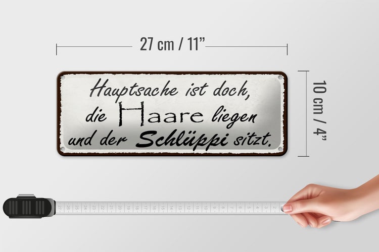 Blechschild Spruch 27x10cm Hauptsache doch die Haare liegen Dekoration