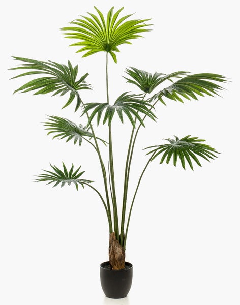 Künstliche Yucca-Palme mit drei Stämmen im schwarzen Topf.