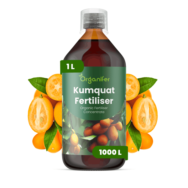 Organifer Kumquat Dünger, 1 Liter organisches Düngerkonzentrat, ausreichend für 1000 Liter.