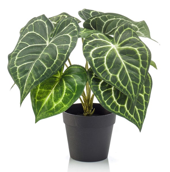 Künstlicher Rittersporn mit apricotfarbenen Blüten an einem grünen Stiel in der Nahaufnahme.