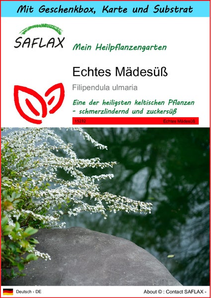 SAFLAX Geschenk Set - Echtes Mädesüß - Filipendula ulmaria - 500 Samen - Mit Geschenkbox, Versandaufkleber, Geschenkkarte und Anzuchtsubstrat