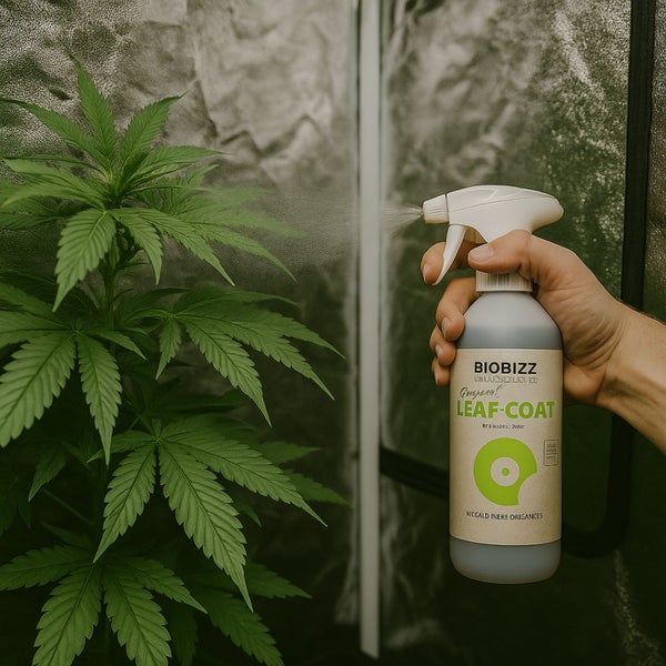 BioBizz Leafcoat 500 ml – Biologisches Pflanzenschutz-Spray gegen Schädlinge mit Pipette – Sofort einsatzbereit & 100 % natürlich
