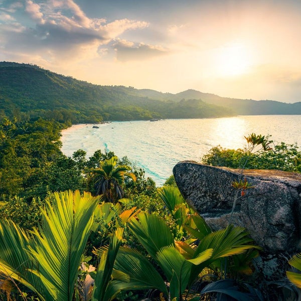 Landschaft mit Meerblick, Vegetation und Felsen im Vordergrund.