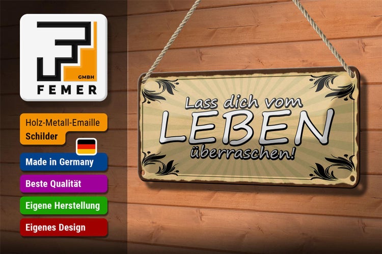 Blechschild Spruch 27x10cm lass dich vom Leben überraschen Dekoration
