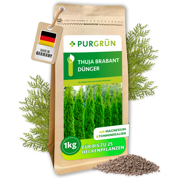 Purgrün Thuja Brabant Dünger in einer 1 Kilogramm Packung, mit Magnesium und Tonmineralien für bis zu 25 Heckenpflanzen, hergestellt in Deutschland.