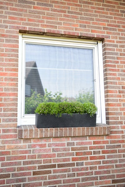 Fenster mit Insektenschutzgitter und einem Blumenkasten an einer Ziegelwand.