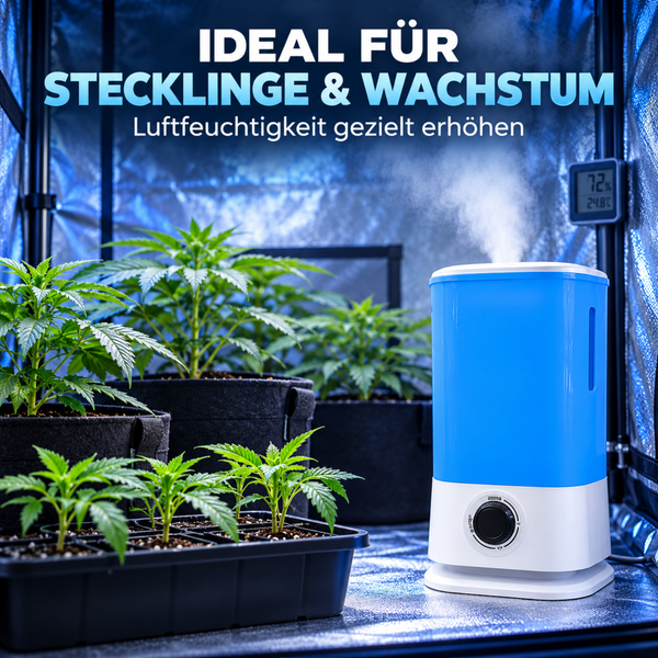 Luftbefeuchter in einer Growbox mit Pflanzenstecklingen und Jungpflanzen zur Steigerung der Luftfeuchtigkeit.