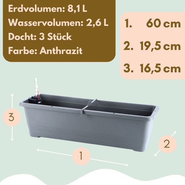 Abbildung eines anthrazitfarbenen Pflanzkastens mit Größenangaben