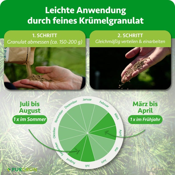 Infografik zur Anwendung von Krümelgranulat: Abmessen von circa 150 bis 200 Gramm und Verteilen. Kalender für Frühjahr und Sommer. Purgrün Logo.