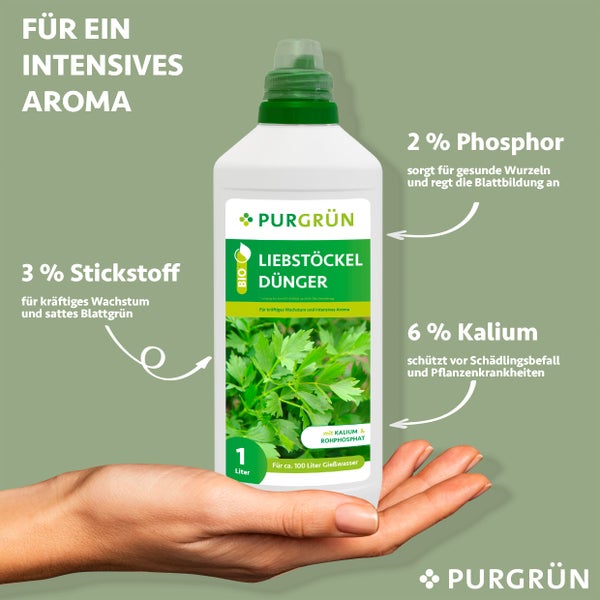 gartenheidelbeeren düngen Bio Heidelbeer Dünger flüssig 1 L