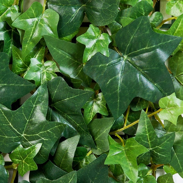 Künstliche Monstera deliciosa Variegata im schwarzen Topf mit Moosstab und weiß-grün panaschierten Blättern.