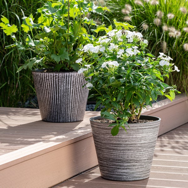 Ein Wohnzimmer mit einer Wandtapete mit Blättermuster hinter einem Sofa