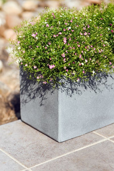 Rechteckiger Blumenkasten in Steinoptik bepflanzt mit kleinen rosa und weißen Blumen.