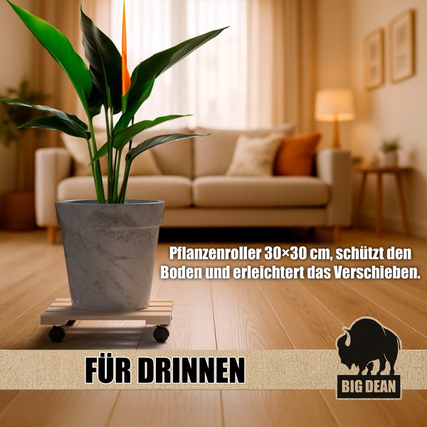 Zimmer mit Pflanze in grauem Topf auf Pflanzenroller 30x30 Zentimeter