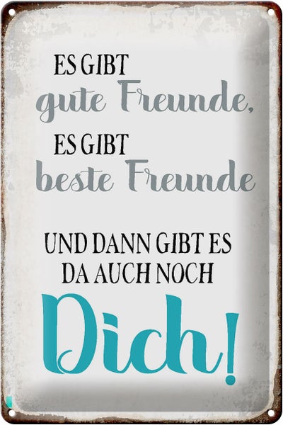 Blechschild Spruch 20x30cm gibt gute Freunde auch noch Dich