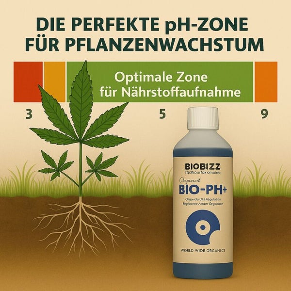Biobizz Bio-PH Plus Infografik zur optimalen pH-Zone für Pflanzenwachstum und Nährstoffaufnahme.