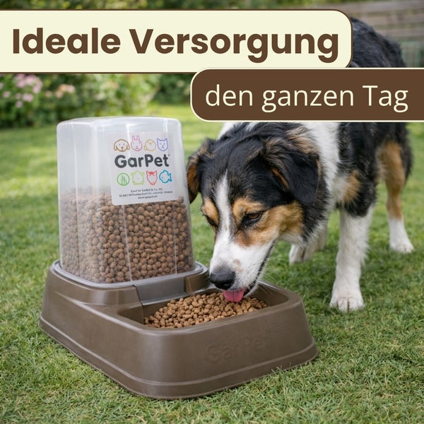 Ein Hund frisst Trockenfutter aus einem GarPet Futterautomaten auf einer Rasenfläche.