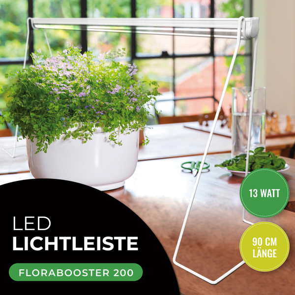 LED Pflanzenlampe Florabooster 200 mit 13 Watt Leistung und 90 Zentimeter Länge über einer Zimmerpflanze auf einem Holztisch.