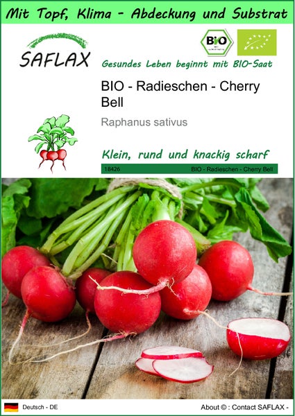 SAFLAX Garden to go - BIO - Radieschen - Cherry Bell - Raphanus sativus - 100 Samen - Mit Topf, Klima - Deckel und Anzuchtsubstrat