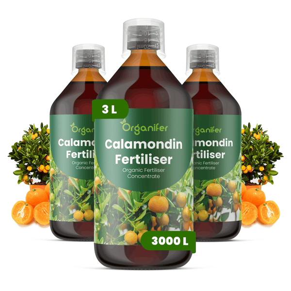 Organifer Calamondin-Dünger, organisches Konzentrat, 3 Flaschen, insgesamt 3 Liter für 3000 Liter Gießwasser.