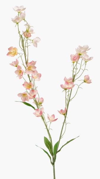 Nahaufnahme eines grünen Farns mit detaillierten Blättern.