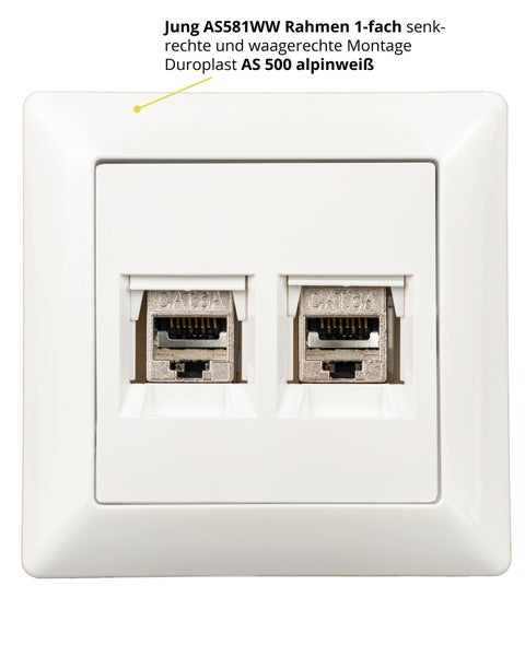 Keystone RJ45 Cat. 6A Modul inkl. Jung Keystone Abdeckung 2fach A1569-2WEWW & 1fach Rahmen AS581WW alpinweis, Netzwerkdose