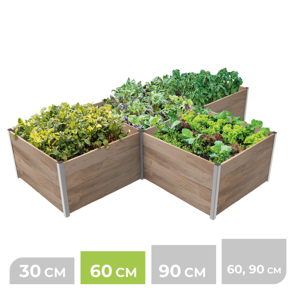 Modulares Hochbeet aus Holz mit Eckprofilen aus Metall, Höhe 60 Zentimeter, bepflanzt mit grünem Blattgemüse.