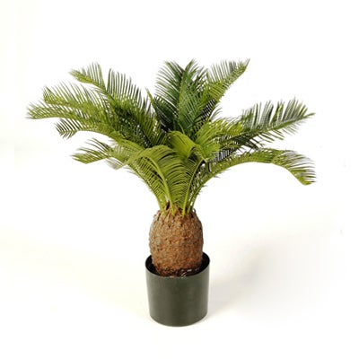 Künstlicher Klebsame Baum mit dichten grünen Blättern in einem schwarzen Topf.