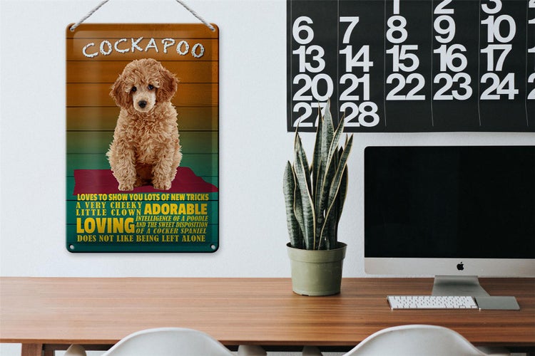 Blechschild Spruch 20x30cm Cockapoo Hund loves to show you