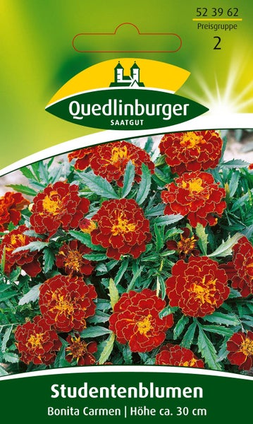 Quedlinburger Saatgut Samentüte für Studentenblumen Bonita Carmen, Wuchshöhe circa 30 Zentimeter, rot-orange Blüten.
