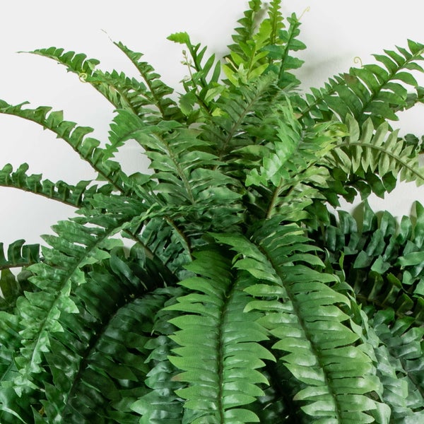 Künstliche Farnpflanze mit dichten grünen Wedeln und gefiederten Blättern.
