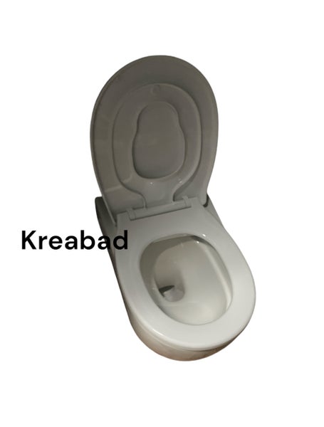 Wc sitz 2in1 für Kinder und Erwachsene Wc Sitz mit Absenkautomatik