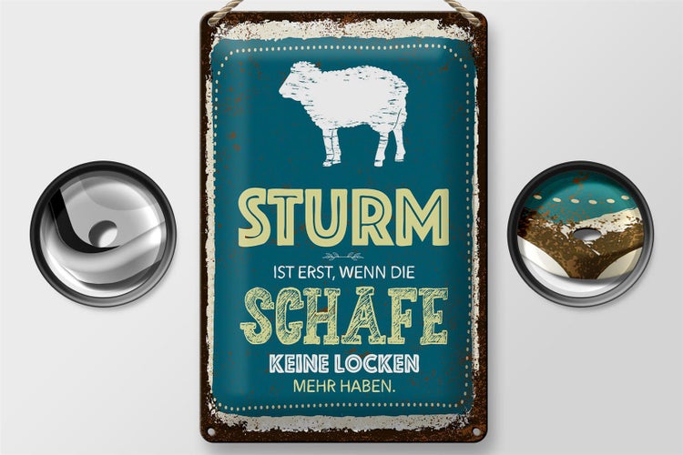 Blechschild Spruch Sturm wenn Schafe keine Locken 20x30cm